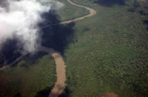 Rivière dans la forêt