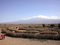 Parc National d'Amboseli - Village Masaï