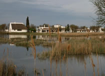 Parc ornithologique du Pont-de- Gau