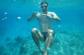 Chankanaab- ile de Cozumel - Gros poisson