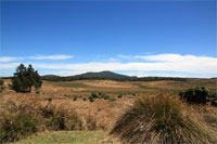 Horton Plains - La plaine