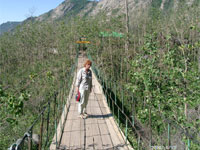 Pont aux singes