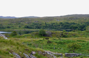 Connemara