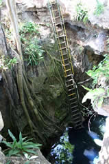 Cenote Kankirixche - Echelle de descente