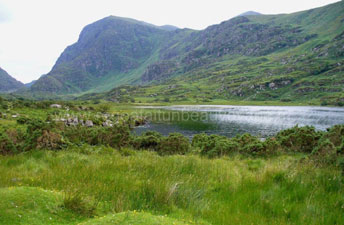 Parc Killarney