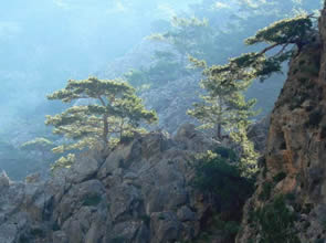 Les gorges d'Agia Irini