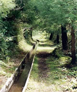 Levada