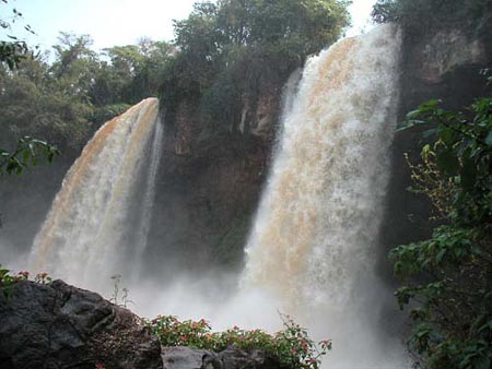 Les deux sœurs, le Bossetti, le Mbigua, le Barnabé Mendez - Iguaçu