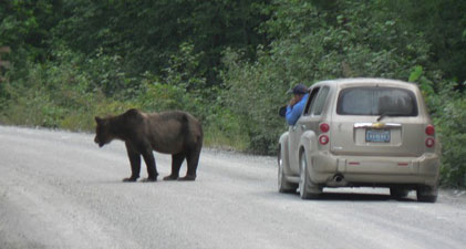 Ours
