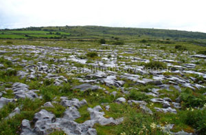 région du burren