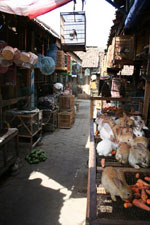 le marché aux oiseaux