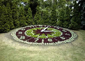 horloge florale