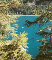 Les eaux turquoises de l'Alpsee