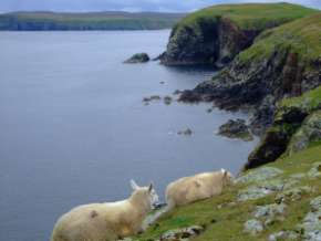 Strathy