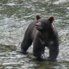 Ours