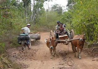 Cambodge