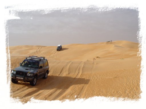 Traces dans les dunes