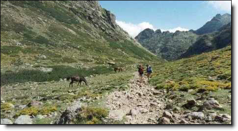 Vallée du Golo