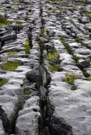 région du burren