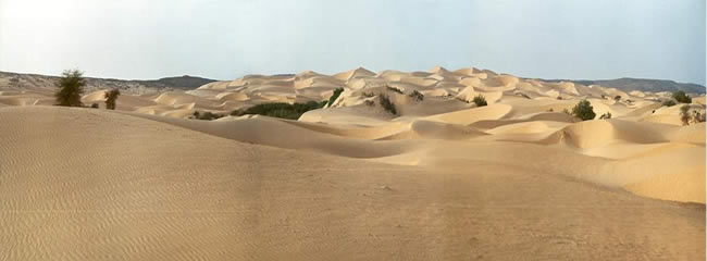 Des champ de dunes