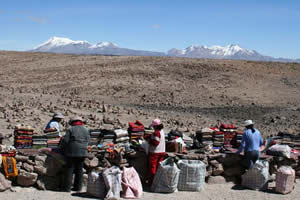 Altiplano entre Arequipa et Chivay - Col à 4910 m