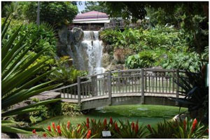 jardin botanique deshaies