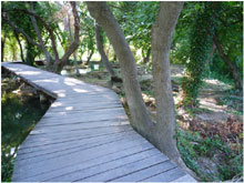 parc krka passerelle