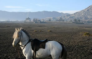 Le mont Bromo