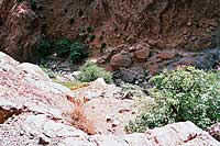 le long de l’oued de l’Ourika