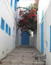 Ruelle de Dar El Annabi