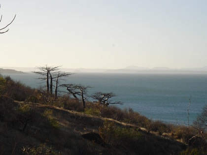 Baobabs, du haut de la Montagne des Français