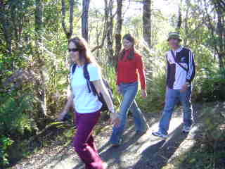 Marche dans la forêt