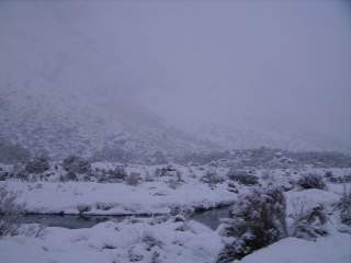 Neige