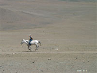 Naadam