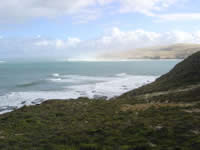 Mer de Tasman
