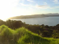 Mer de Tasman
