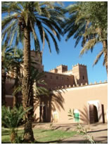 palmeraie à Agdz
