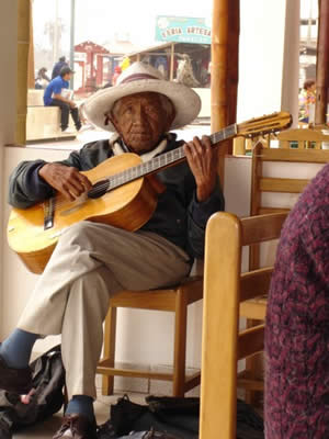 L'homme à la guitare