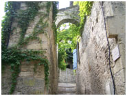 Vaison-la-Romaine