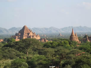 temple Dhammayangyi