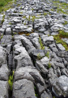 région du burren