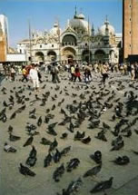 Place San Marco