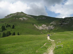 Chemin de randonnée