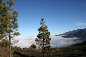 Route des volcans (La Palma) - Mer de nuages