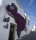 Façade