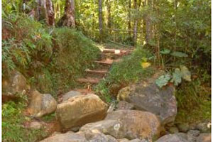 sentier saut des 3 cornes