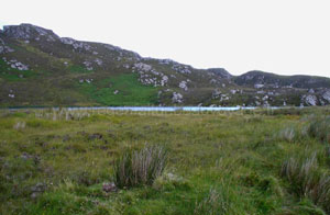 lac o'milligan