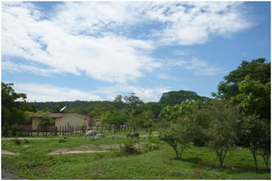 Paysage