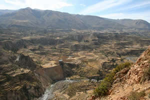 Canyon de Colca - Cultures en terrasse et lacs