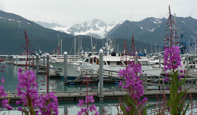 port seward